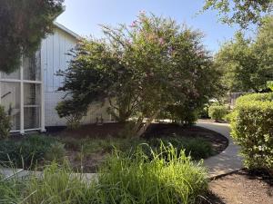 Stagecoach Inn - Salado Texas